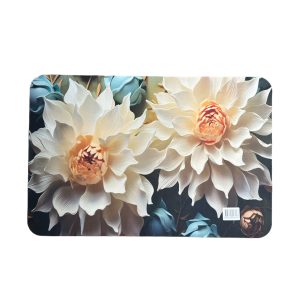 Covoras Absorbant 60x40cm, Engros