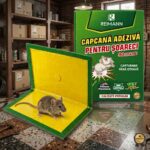 Capcana Soareci DIV1, Engros.CALITATE SUPERIOARA.